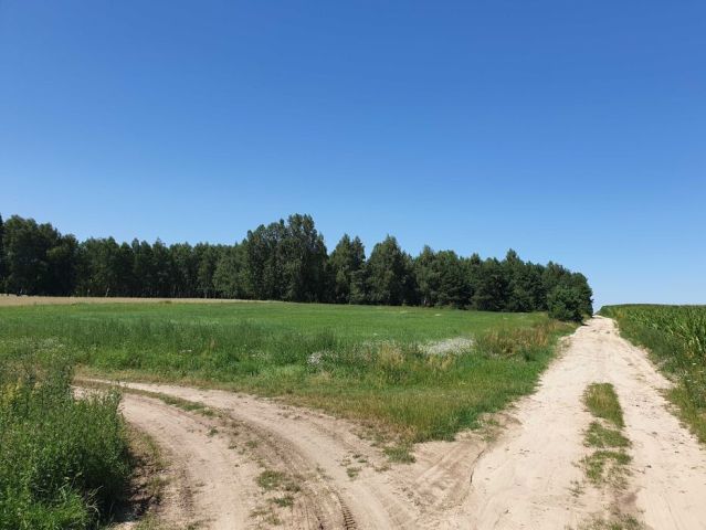 Działka budowlana Horbów-Kolonia. Zdjęcie 1