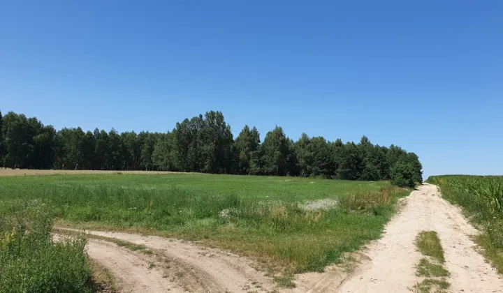 Działka budowlana Horbów-Kolonia