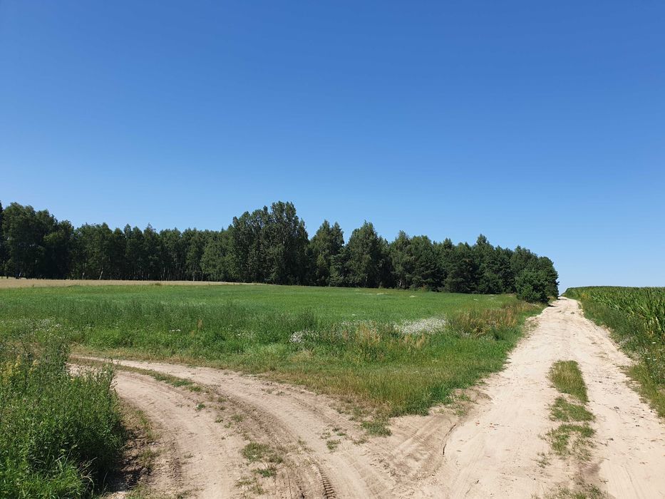 Działka budowlana Horbów-Kolonia