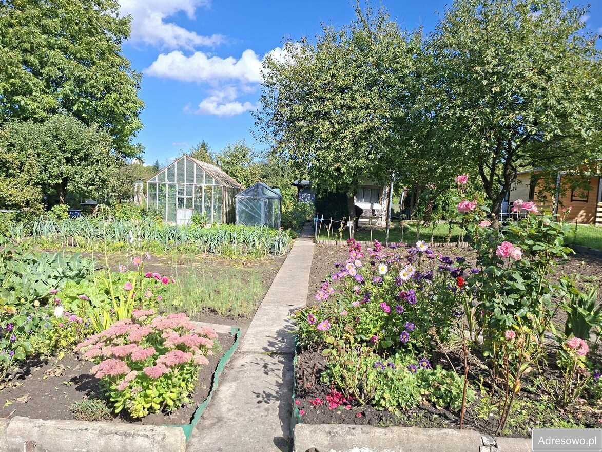 Działka rod Nowa Wieś Malborska. Zdjęcie 13