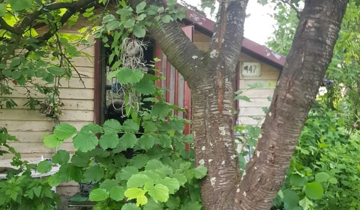 Działka rod Wieliczka, ul. Czarnochowska