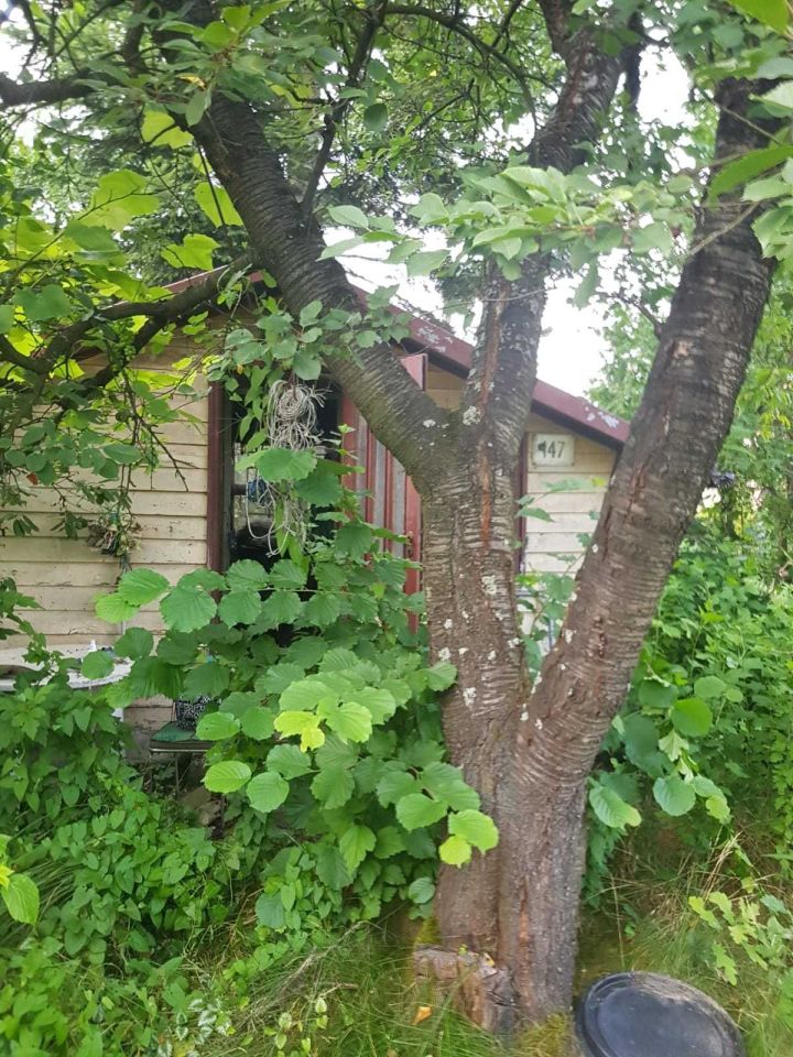 Działka rod Wieliczka, ul. Czarnochowska. Zdjęcie 1