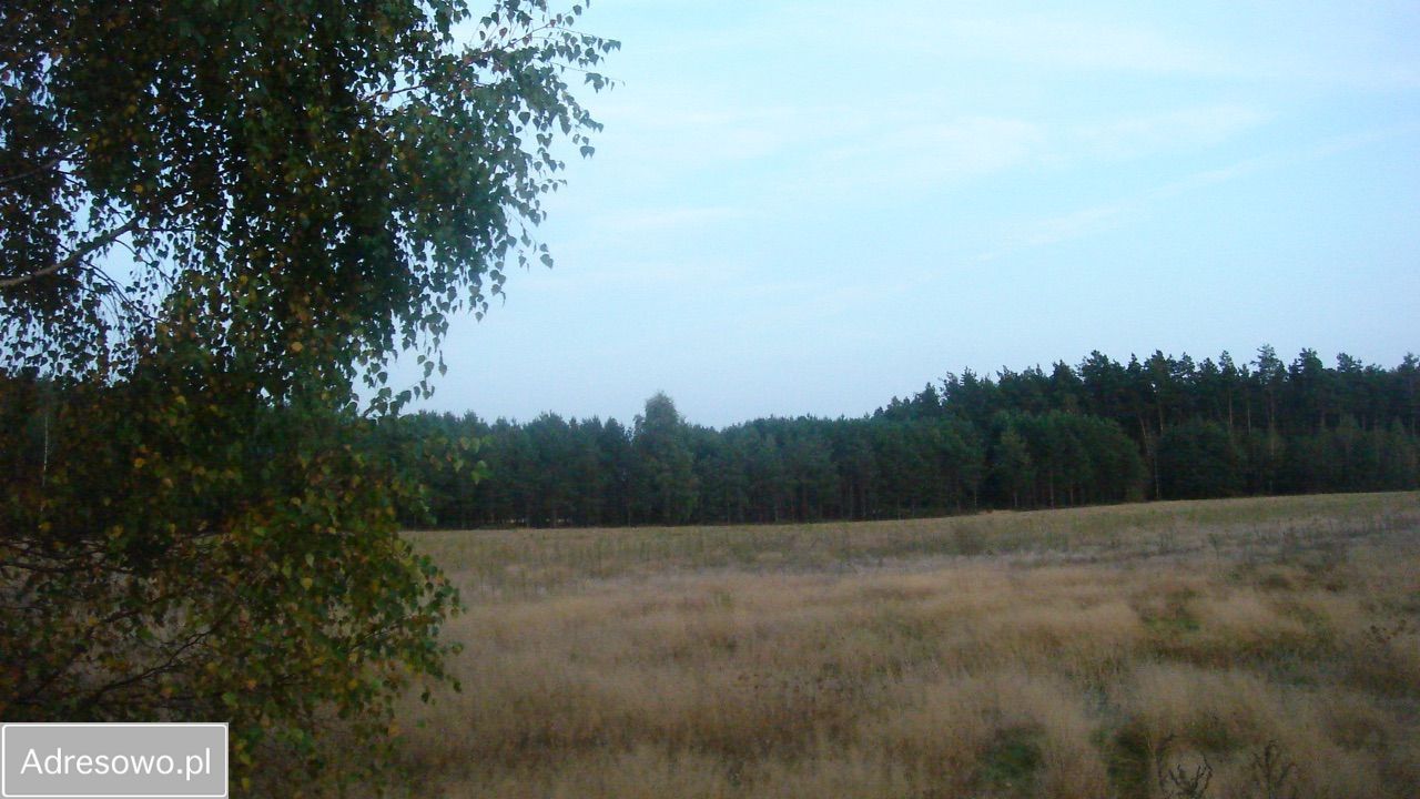 Działka siedliskowa Żeliszew Duży. Zdjęcie 4