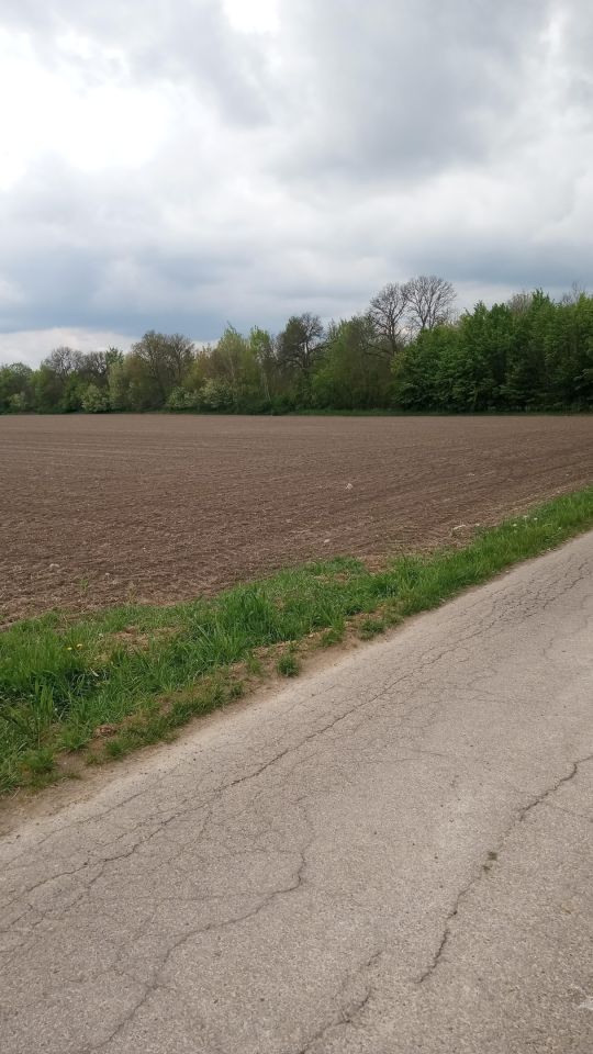 Działka rolna Lipicze, ul. Warszawska. Zdjęcie 6
