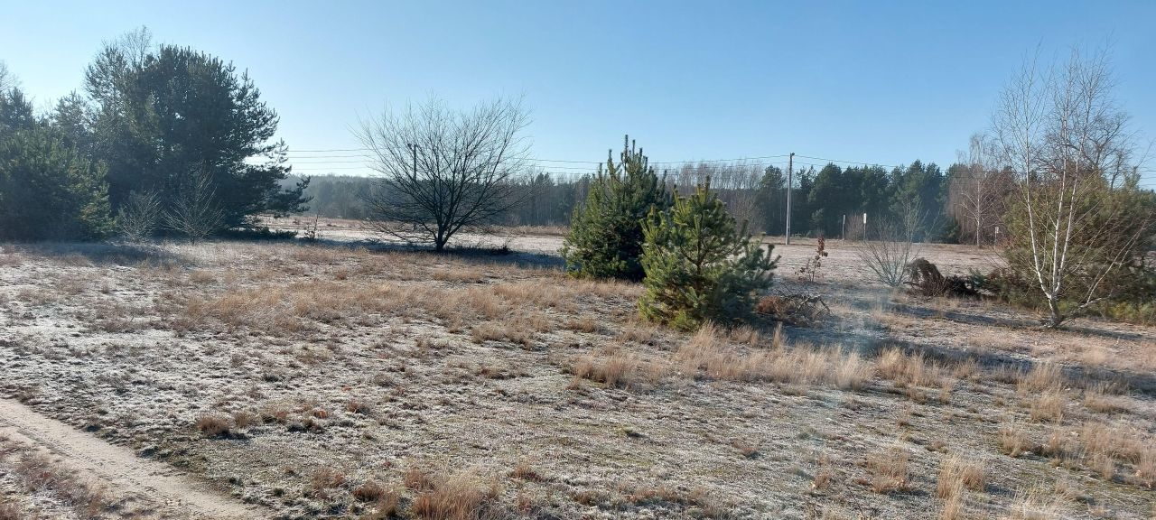 Działka budowlana Chinów Stary Chinów. Zdjęcie 1