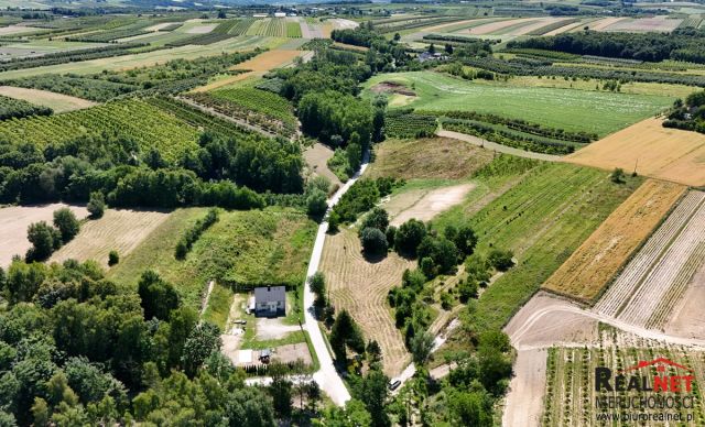 Działka rolno-budowlana Strzałków. Zdjęcie 6