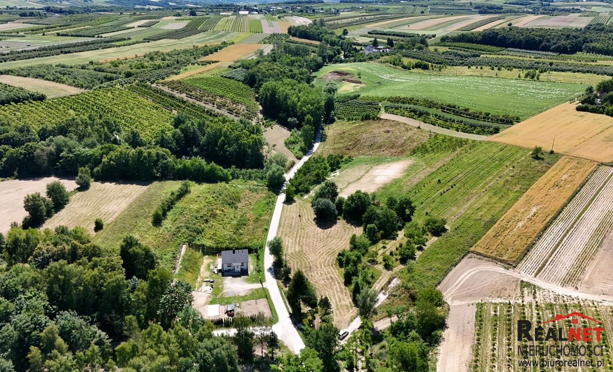 Działka rolno-budowlana Strzałków. Zdjęcie 6