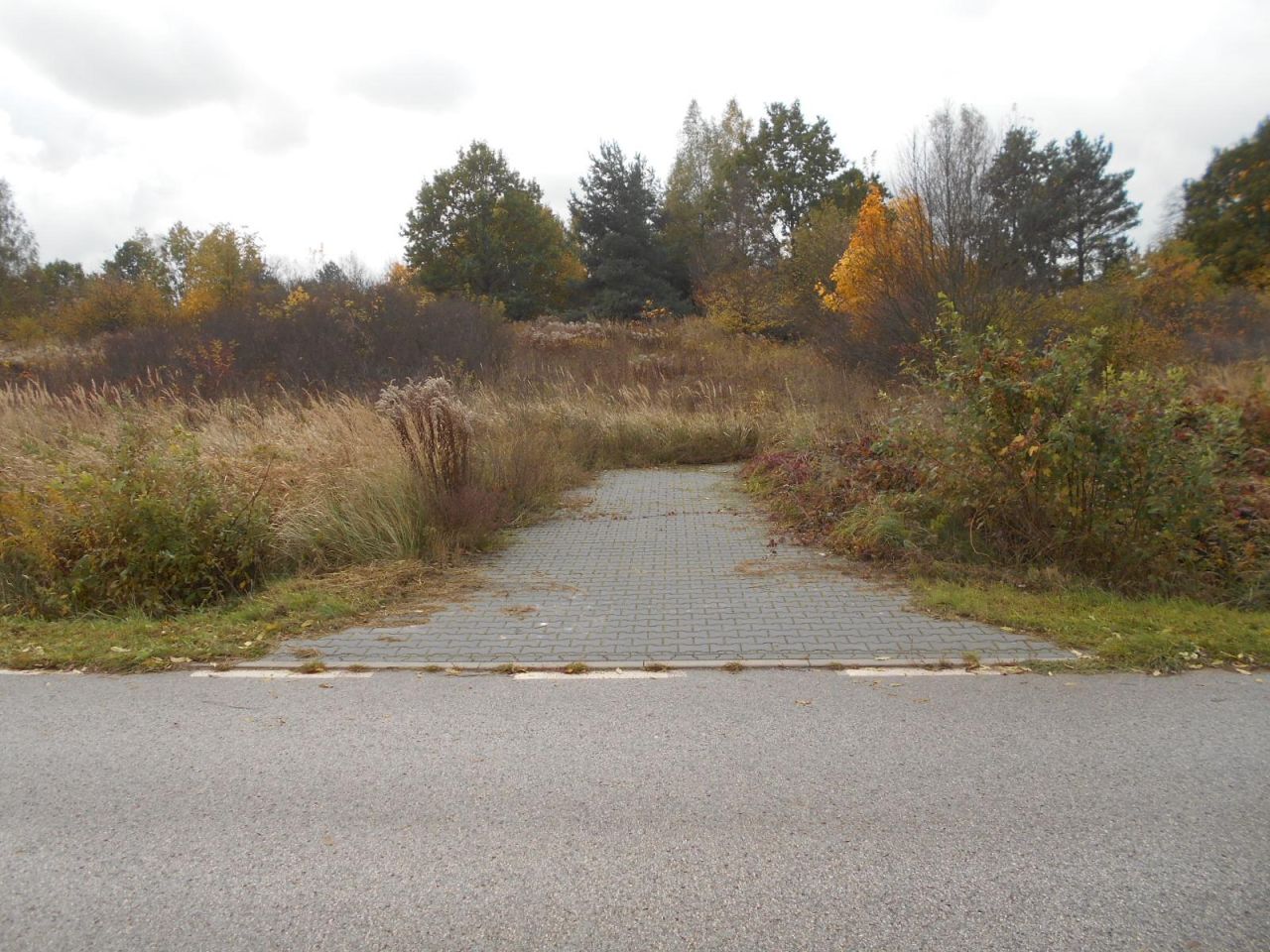 Działka rolno-budowlana Starachowice Michałów Górny, ul. Fryderyka Lempe