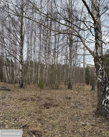 Działka rolno-budowlana Ostojów. Zdjęcie 1