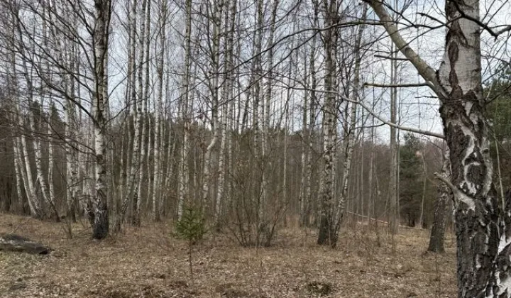 Działka rolno-budowlana Ostojów