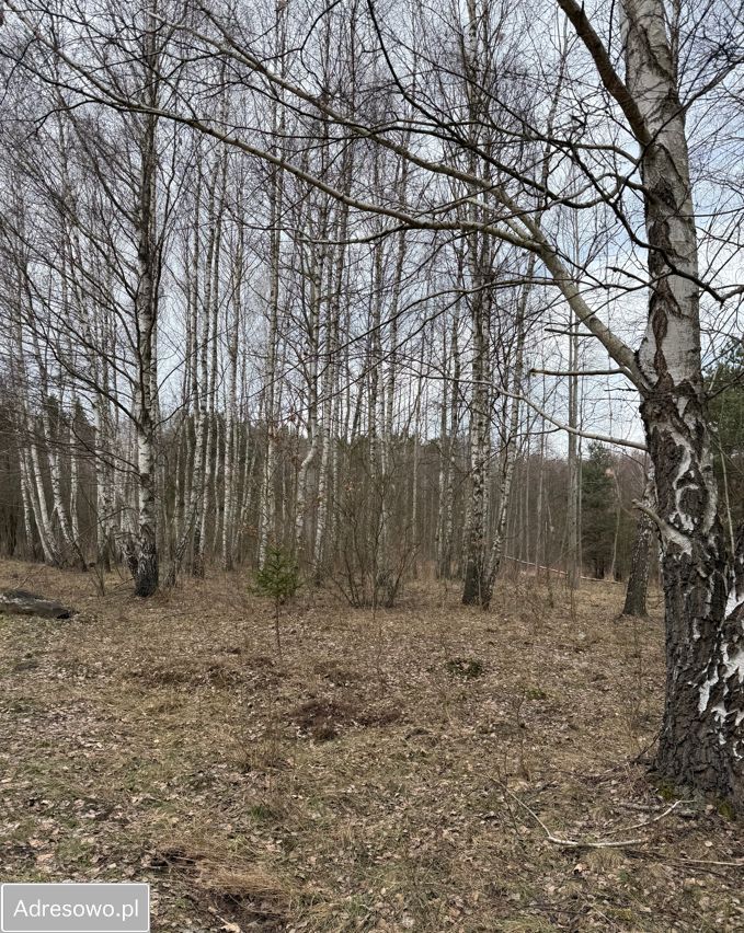 Działka rolno-budowlana Ostojów. Zdjęcie 1