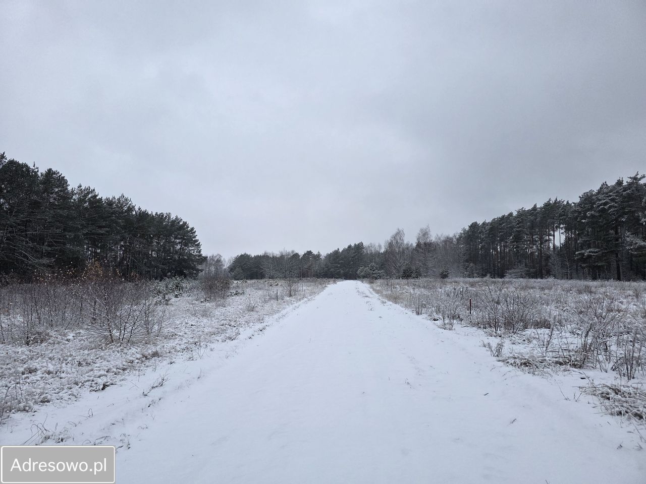 Działka budowlana Zazdrość, ul. Zaciszna. Zdjęcie 7