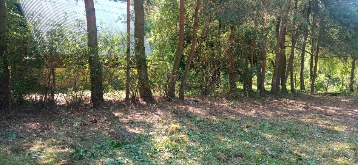 Działka rekreacyjna Kamieńczyk, ul. Żołnierska