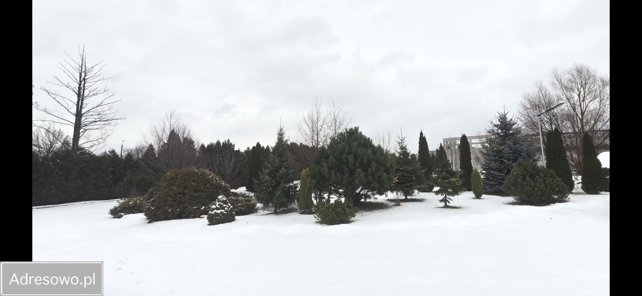 dom wolnostojący, 7 pokoi Brzeziny, ul. Spacerowa. Zdjęcie 2