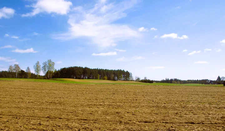 Działka rekreacyjna Lipy