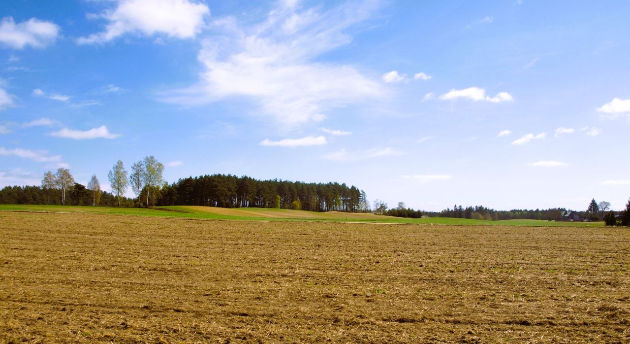 Działka rekreacyjna Lipy. Zdjęcie 2
