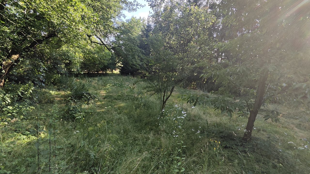 Działka rolno-budowlana Cieplice. Zdjęcie 10