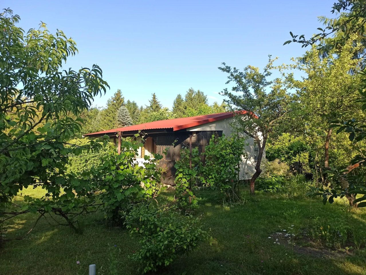 Działka rod Szczaki, ul. Mrokowska