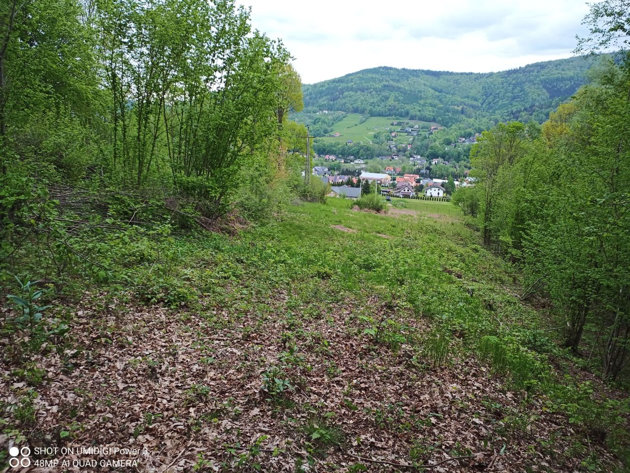 Działka budowlana Brenna Snowaniec, ul. Snowaniec. Zdjęcie 4