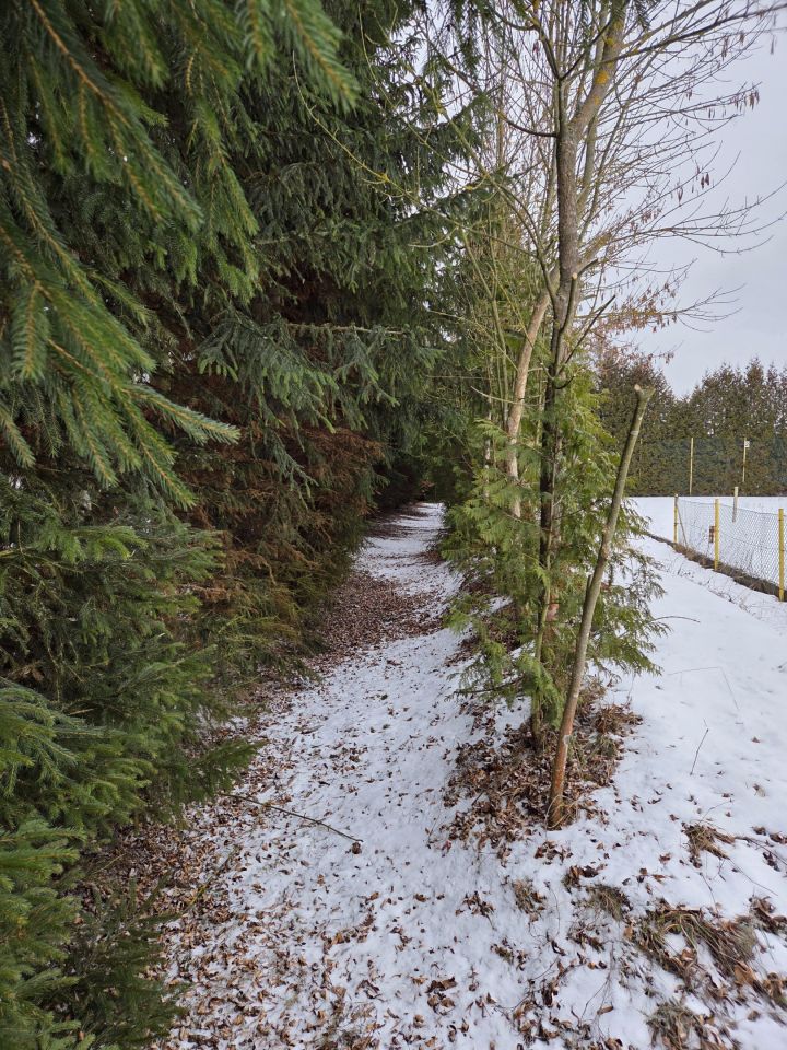 dom wolnostojący, 7 pokoi Strączno. Zdjęcie 74