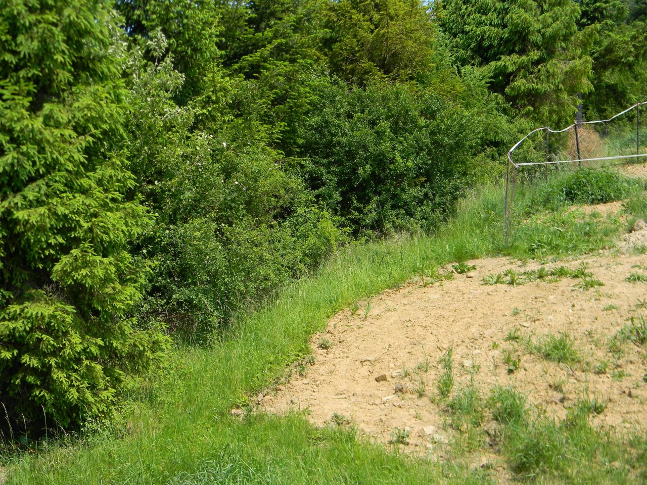 Działka budowlana Muszyna Wapienne, ul. Leśna. Zdjęcie 4