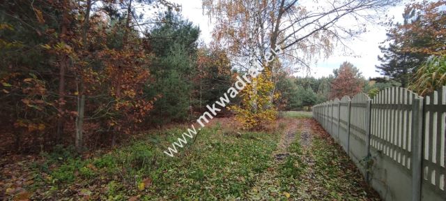 Działka budowlana Tłumy. Zdjęcie 12