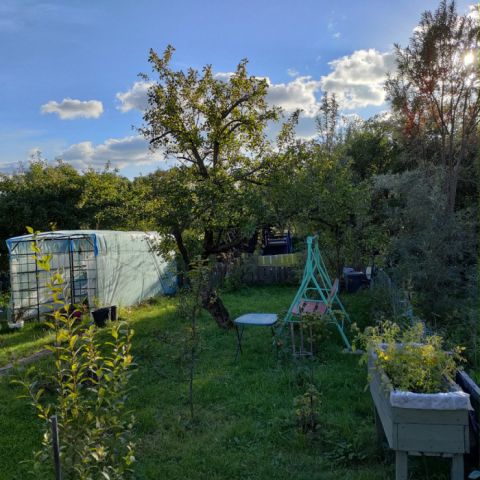 Działka rekreacyjna Gdańsk, ul. Olszyńska. Zdjęcie 1