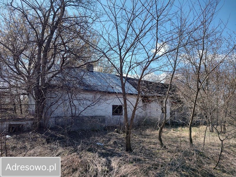 gospodarstwo, 7 pokoi Szczutkowo. Zdjęcie 15