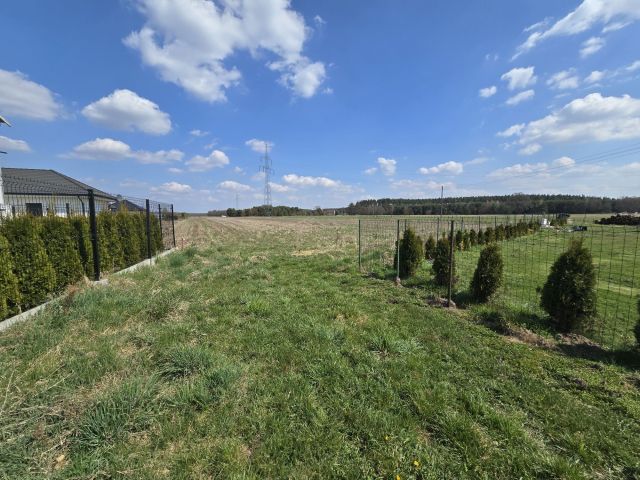 Działka budowlana Jędrzychów. Zdjęcie 1