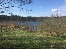 Działka rolna Lepaki Wielkie. Zdjęcie 4