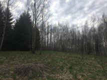 Działka rolna Lepaki Wielkie. Zdjęcie 2