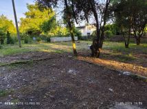 Działka rod Trzebinia. Zdjęcie 2