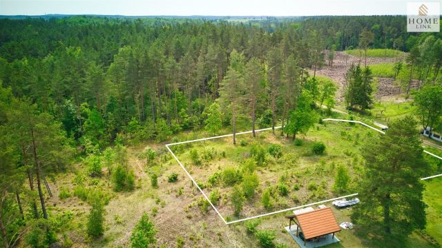 Działka leśna Klewki. Zdjęcie 4