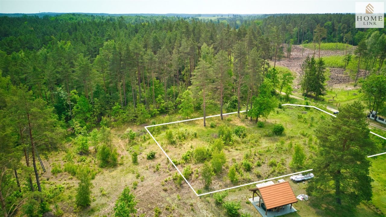 Działka leśna Klewki. Zdjęcie 4