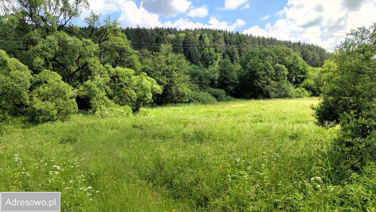 Działka rolna Trzcianiec. Zdjęcie 9