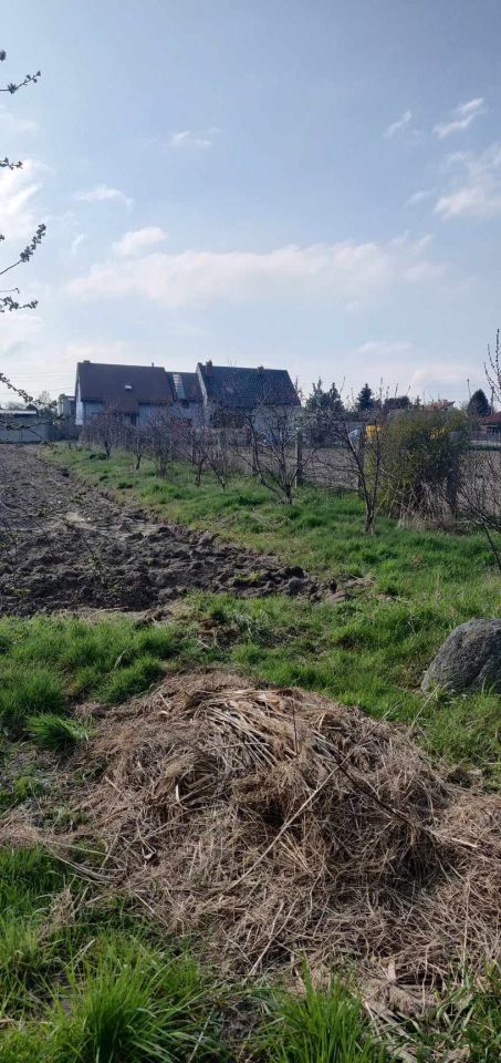 Działka budowlana Przygodzice, ul. Wincentego Witosa. Zdjęcie 7