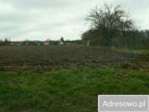 Działka rolna Mysłowice. Zdjęcie 2