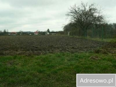 Działka rolna Mysłowice. Zdjęcie 3