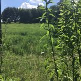 Działka inna Minoga. Zdjęcie 3