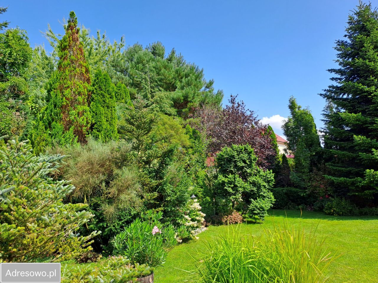 dom wolnostojący, 7 pokoi Poznań Piątkowo, ul. Nad Różanym Potokiem. Zdjęcie 13