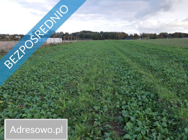 Działka rolno-budowlana Pobłocie. Zdjęcie 3
