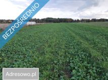 Działka rolno-budowlana Pobłocie. Zdjęcie 4