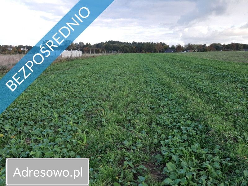 Działka rolno-budowlana Pobłocie. Zdjęcie 5