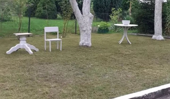 Działka rod Zielona Góra Jędrzychów