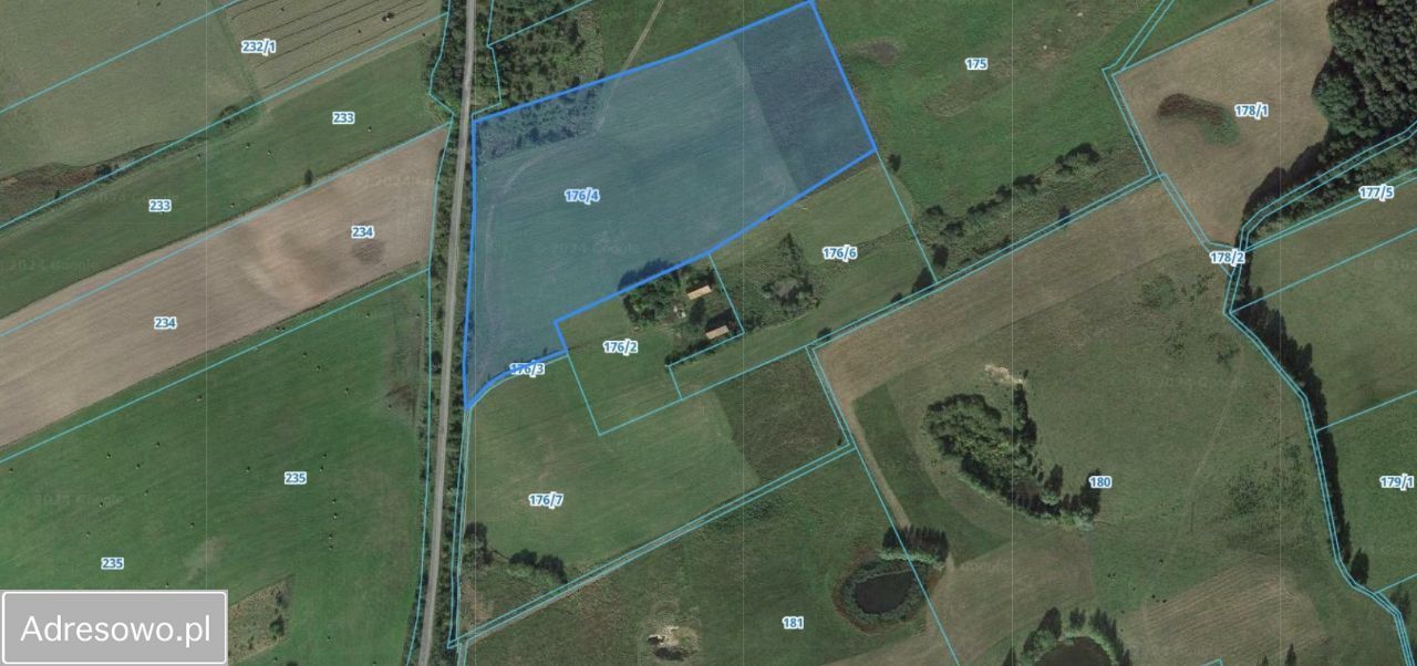 Działka rolna Tłokowo. Zdjęcie 6