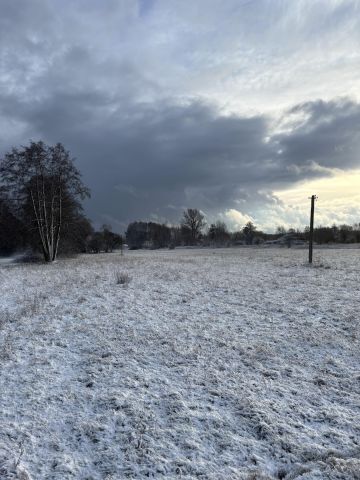 Działka budowlana Wilków Polski. Zdjęcie 1