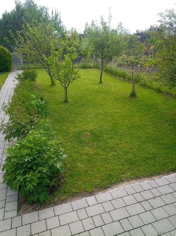 Działka rod Świdnica. Zdjęcie 7