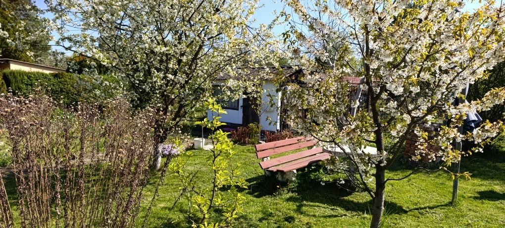 Działka rod Gliwice Sośnica, ul. Królewskiej Tamy. Zdjęcie 2