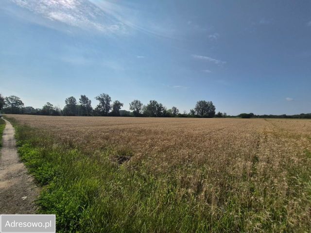Działka rolna Kępa Nadbrzeska. Zdjęcie 1