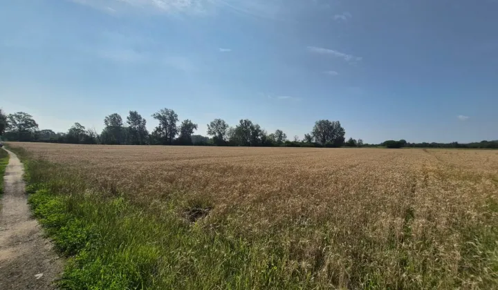 Działka rolna Kępa Nadbrzeska